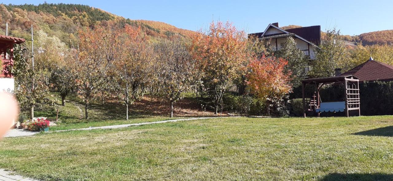 Cabana Poiana Galdei Εξωτερικό φωτογραφία