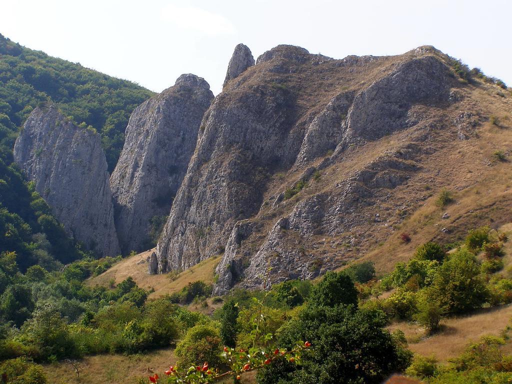 Cabana Poiana Galdei Εξωτερικό φωτογραφία