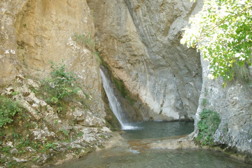 Cabana Poiana Galdei Εξωτερικό φωτογραφία