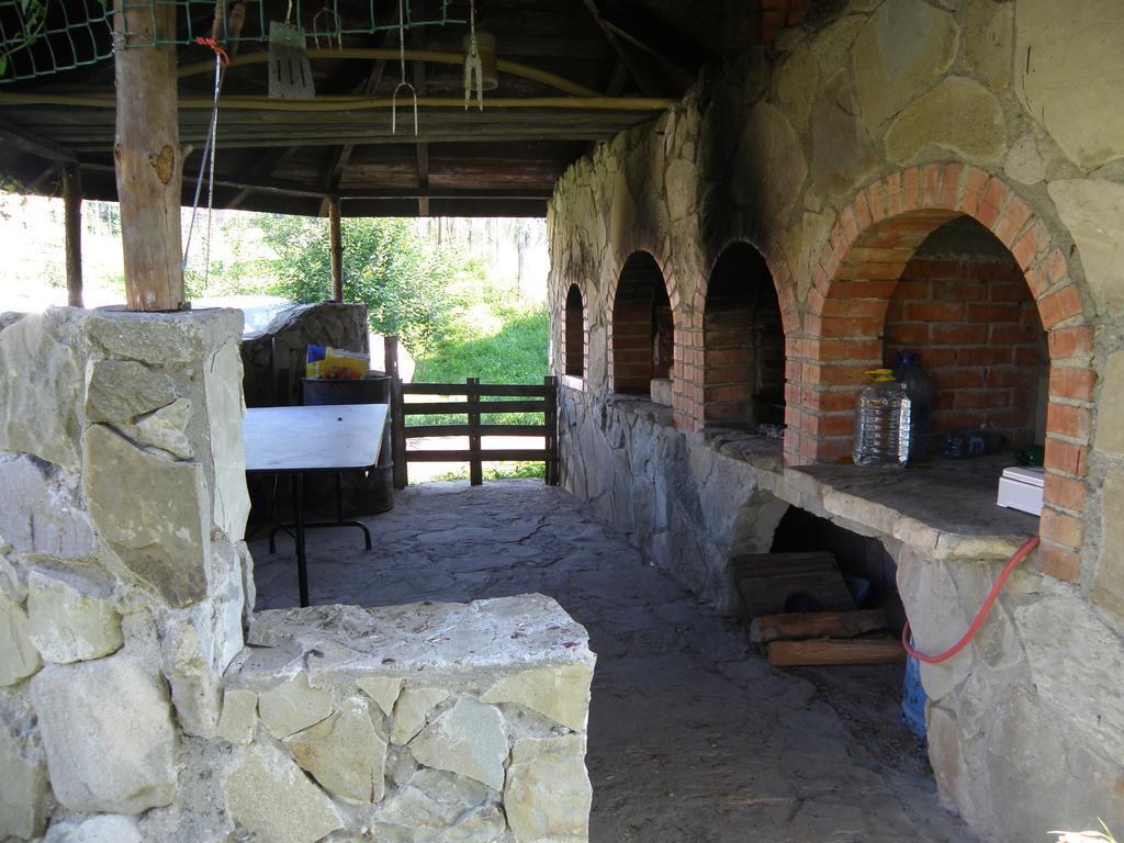 Cabana Poiana Galdei Εξωτερικό φωτογραφία