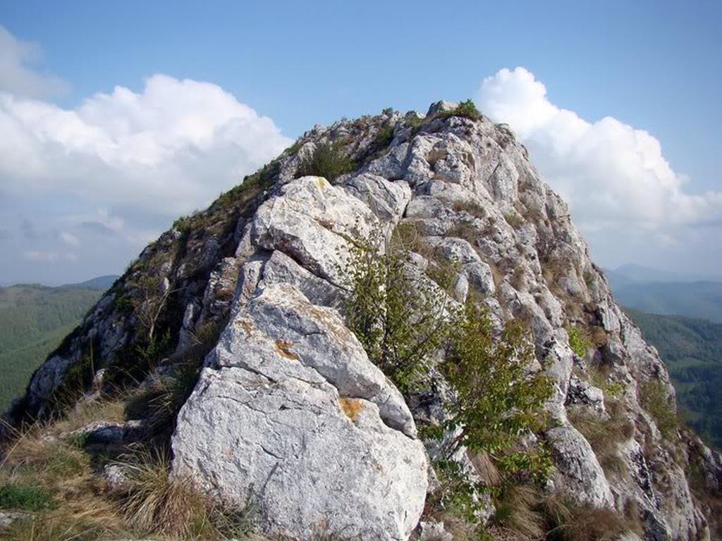 Cabana Poiana Galdei Εξωτερικό φωτογραφία