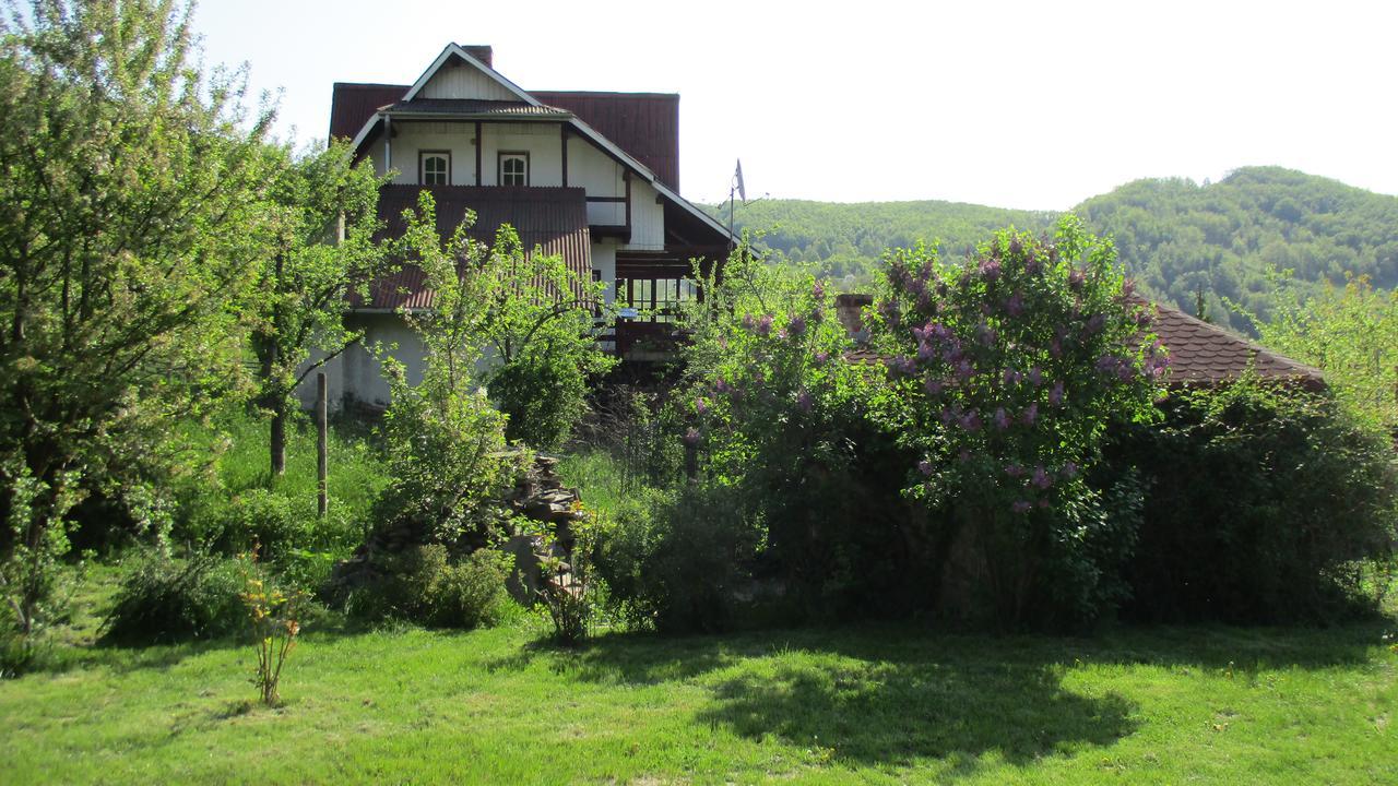 Cabana Poiana Galdei Εξωτερικό φωτογραφία