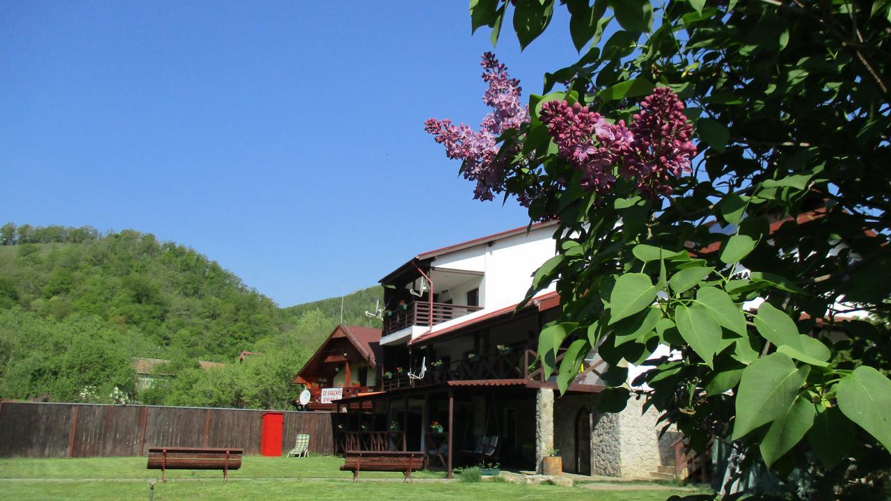 Cabana Poiana Galdei Εξωτερικό φωτογραφία